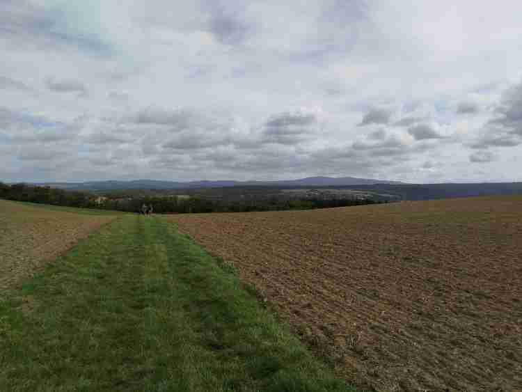 IMG 20250916 111736 MEDIUM