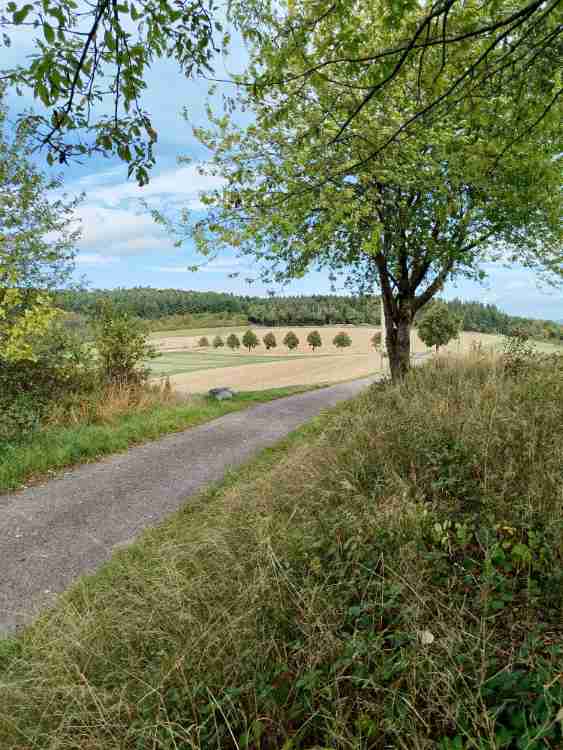IMG 20250916 114019 MEDIUM